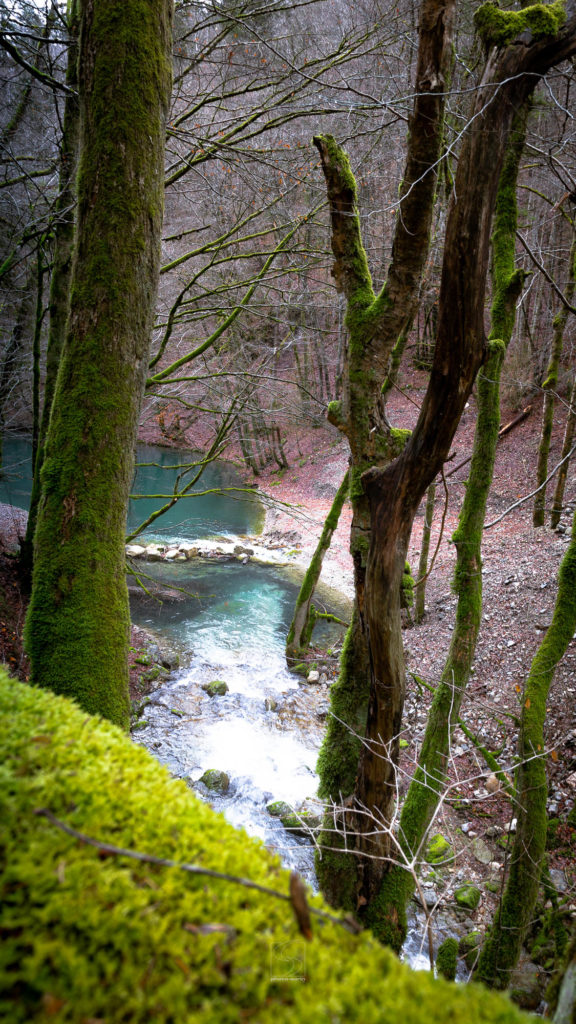 CHARTREUSE<br>Ruisseau