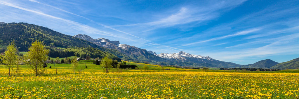 PAYSAGE<br>Plaine de Lans