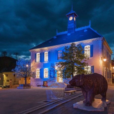 La place, la fontaine et son Ours